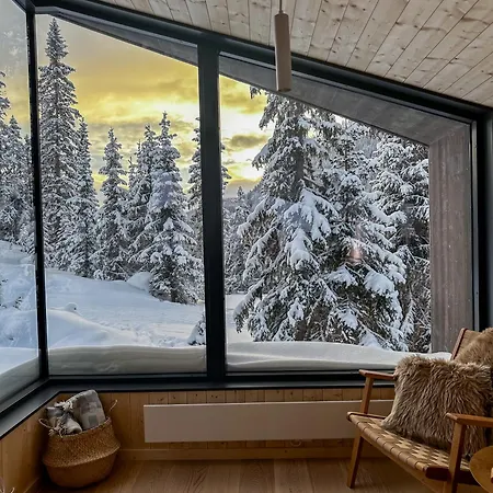 Ski-in-out Pa Kvitfjell *