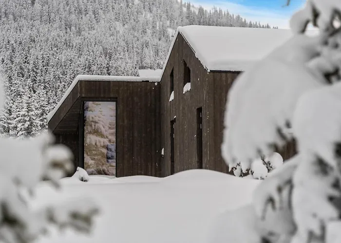 Ski-in-out Pa Kvitfjell